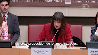 Crise de l'énergie - Proposition de loi pour bloquer les prix