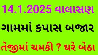 ગામડે બેઠા કપાસના ભાવમાં ઉછાળો વાંકાનેરના વાલાસણ ગામમાં ઘરે બેઠા કપાસના આવા ભાવ બોલાય છે ? Kapasbhav