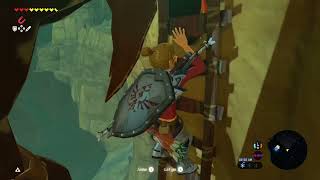 how did i not get hit by this moblin?