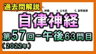 【過去問解説：第57回国家試験-午後63問目】自律神経【理学療法士・作業療法士】