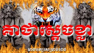 គាថាស្ដេចខ្លា