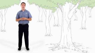 Shredding Paper and the Environment