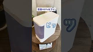 自動でつく加湿器#便利な機能 #スマートホーム #switchbot #qol向上 #アレクサ  #shorts