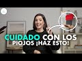 🔴 Como eliminar PIOJOS y LIENDRES @drapilarochoa - Dermatologa