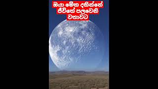 මෙය රූගත කර ඇත්තේ කැනඩාව,ඇලස්කාව,රුසියාව යන දේශසීමා ආක්ටික් කවය තුළ ය.වැඩි විස්තර 1st comment බලන්න