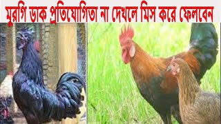 মুরগি ডাক প্রতিযোগিতা না দেখলে মিস করে ফেলবেন