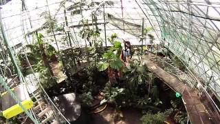 Cairns ZOOm Wildlife Dome