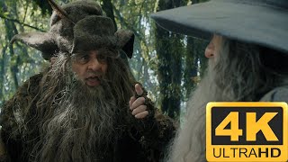 Radagast meets Gandalf! | The Hobbit - An Unexpected Journey 4K HDR