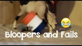 Schleich Filming Bloopers \u0026 Fails 2019