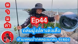 ตามล่า ep44ถล่มฝูงปลาเต็งเล้ง#ตกปลา #fishing