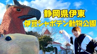 [シャボテン動物公園]伊豆の有名動物園へ！カピバラをはじめ、チンパンジー、レッサーパンダと会おう！広大な敷地に巨大なサボテン温室/ Izu Shizuoka