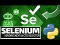 Python Selenium Full Series - Sending Keys & CSS Selector [Web Bots and Testing]