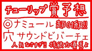 [チューリップ賞2022予想] 穴なら持続力優秀サウンドビバーチェ！◎ナミュールは軽め仕上げも超Ｇ１級の脚力で突き抜ける【上がり５Ｆラップ分析】