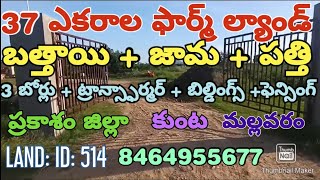 37 ACRES OF FARM LAND FOR SALE. PRAKASAM (DT). KUNTA. (AP).PH. NO. 8464955677.LAND: ID: 514.