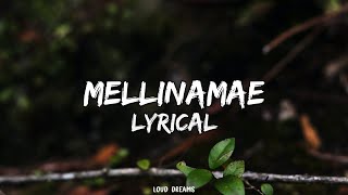 Mellinamae Mellinamea Cover Song Lyrics