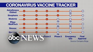 Vaccine watch: Promising developments from one trial