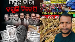 ରାଜ ରାସ୍ତାରେ ଚାଷୀ ଜୋର୍ ଧରିଲାଣି ଅନ୍ଧୋଳନ farmer protest #ଚାଷୀଆନ୍ଦୋଳନ #କୃଷିନୀତି #ଚାଷୀମାନଙ୍କସଂଘର୍ଷ