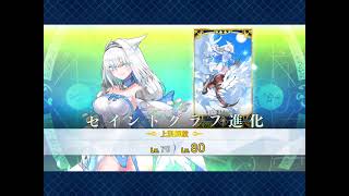 FGO  多布雷尼亞-尼基季奇 強化動畫、語音