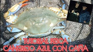 TUTORIAL COMO PESCAR CANGREJO AZUL CON CAÑA #viralvideo #fishing #fish #tutorial #surfcasting #video