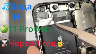 Вода и 🍏11 Pro Max - через 1 год☝️