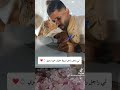 عقد قران عفيفة ورمزي✨️❤️ربي يهنيهم🥰 explorepage ترندتيكتوك تيك_توك اكسبلور ترند wedding