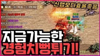 [렌] [리니지M] 이번 업데이트 이후 가능한 경험치 뻥튀기 방법! 사냥효율 미칩니다 ㅋㅋㅋㅋㅋ (혈맹 피의서약 설명 / 말하는 섬, 사막 지역 경험치상승!)