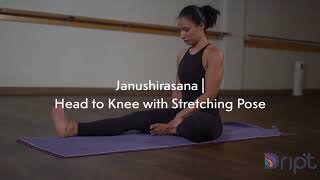 Janushirasana | Head to Knee with Stretching Pose