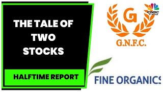 GNFC's Q2 PAT Slides 16% YoY, Fine Organics' Q2 Net Sales At ₹919.17 Crore | Halftime Report