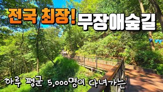 산림청 선정 걷기 좋은 명품 숲길 30선 포함 / 무장애길중 가장 높이 올라 갈수 있는 산책로 / 인천 만수산 무장애 숲길