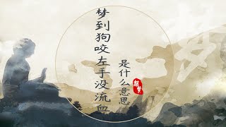 夢到狗咬左手沒流血是什么意思