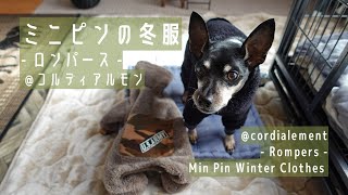 ミニピンの冬服 | |ロンパース |  cordialement  コルディアルモン