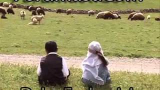 Şıwan Perwer -Yare (orjinal)