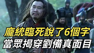 龐統臨死前,冷冷說了6個字,當眾揭穿劉備真面目,可惜魏延不懂【繁華五千年】#歷史#君王#妃子#政治#統治