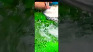 Fish attacking my finger badly😦#shortvideo #shortsfeed #crow #shots #shorts #short #cute #fish