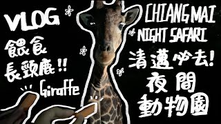 泰國旅遊Vlog｜餵食長頸鹿的人生成就達成！清邁必去的夜間動物園！Chiang Mai Night Safari