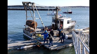 Lobstermen see controversial fishing gear in action for the first time