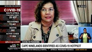 COVID-19 Pandemic | Cape Winelands identified as COVID-19 hotpsot