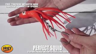 Perfect Squid