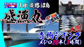 【沼島】盛漁丸で青物ジギング！3時間で20本！~１本でも多く釣る方法~