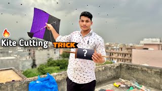 Kite Cutting Tricks | Kite Flying | Kite Vlog |