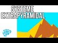 🔴 L'EXPLICATION LA PLUS CLAIRE DU SYSTEME EXTRAPYRAMIDAL (2017) ! - DR ASTUCE