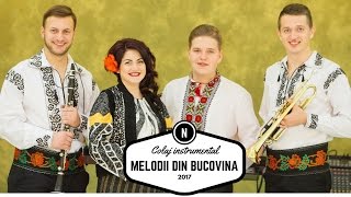 Melodii din Bucovina SARBE HORE si BATUTE INSTRUMENTALE ca la nunta in Moldova