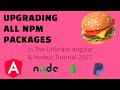 Upgrading Packages of the Ultimate Angular & Nodejs Tutorial 2022