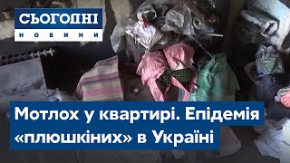 Мотлох у квартирі. Епідемія «плюшкіних» в Україні