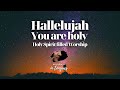 27 MIN WORSHIP SPEAKING IN TONGUES / SPONTANEOUS / ANOINTED / HALLELUJAH, YOU ARE HOLY