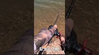 나주호 첫 배스!#shorts#bass#나주호#bassfishin#배스낚시 #루어낚시 #バスフィッシング