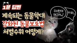 [1분답변] 처벌이 강화되고 있는 동물학대, 처벌 수위는? | 개정된 동물보호법