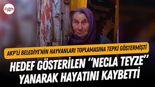 Hedef gösterilmişti: KUNDAKLANDI MI? | Havyansever “Necla Teyze” yanarak hayatını kaybetti...