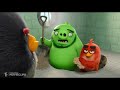 The Angry Birds Movie 2 (2019) - Getting the Team Together Scene (210)  Movieclips