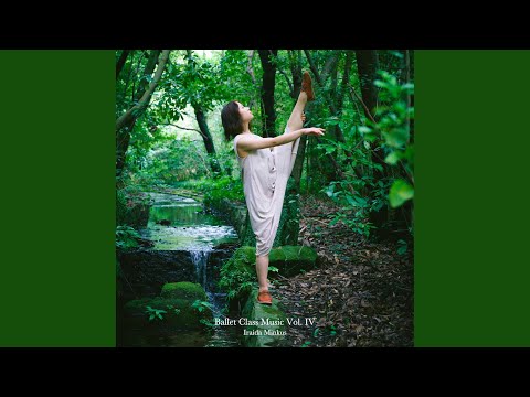 Chaines Carmen Suite No.2 Danse Bohème - YouTube Music